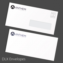 DLX Printed Envelopes - 235x120mm