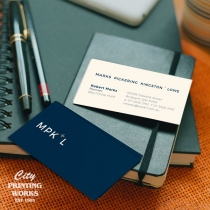 Business Cards - 90x55mm - pantone colours