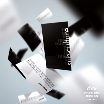 Business Cards - 90x55mm - black and white