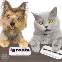 Die Die Cut Business Card - Die cut 097