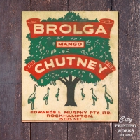 brolga-mango-chutney